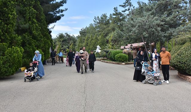 Burç Ormanı’nda Piknik Kültürü Canlılığını Koruyor
