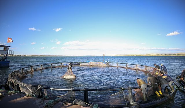 Suriye Sınırındaki Dev Yatırım: Karkamış Barajı