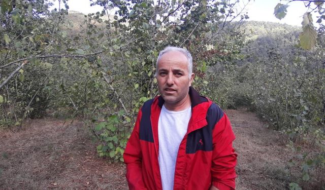 Ayıyla Göz Göze Geldi, Kaçmaya Fırsat Bulamadı!