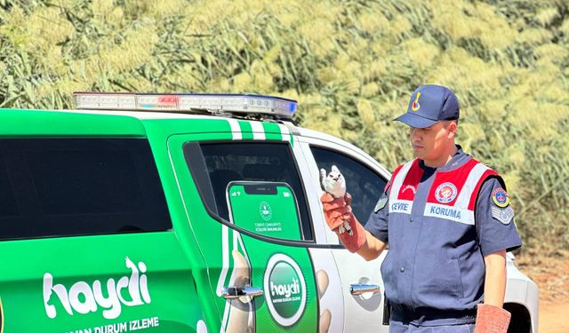 Gaziantep’te Mucize Kurtuluş