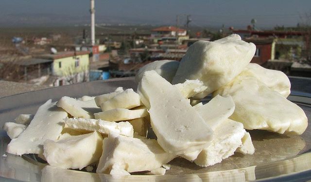 Antep Peyniri, 30 Ülkede Sofralarda