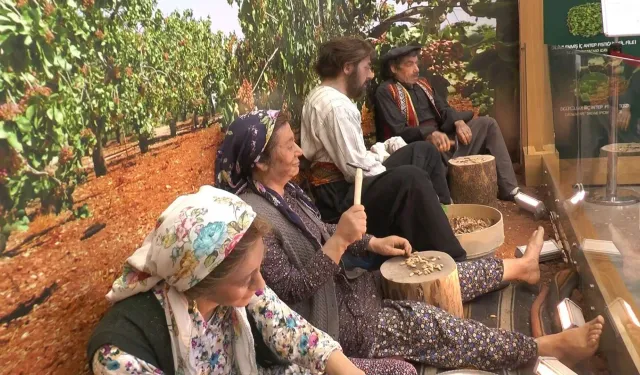 Gaziantep’te Fıstığın Yolculuğu Müzeye Taşındı