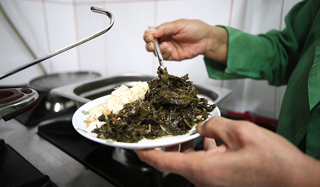 Kebap Şehrinde Vegan Rüzgarı