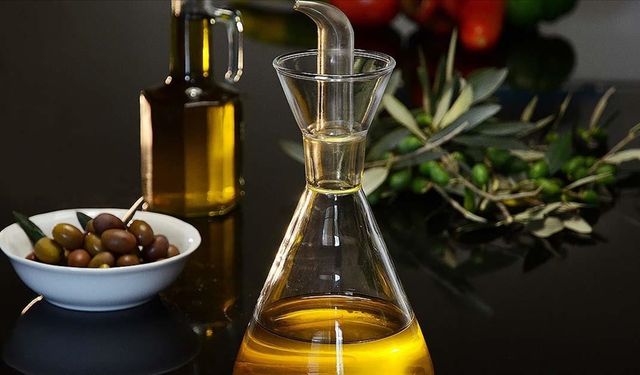 Gaziantep’te Zeytin Hasadı Başladı