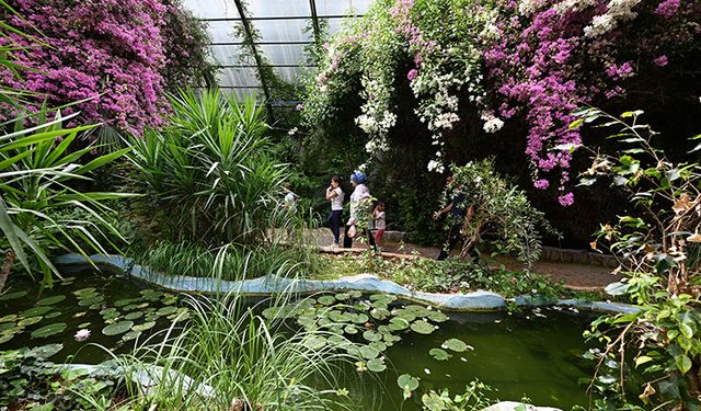 Binlerce Kelebekle Büyüleyen Bahçe Ziyarete Açıldı