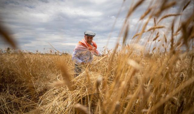 Gaziantep’te Gözler Atıl Topraklarda