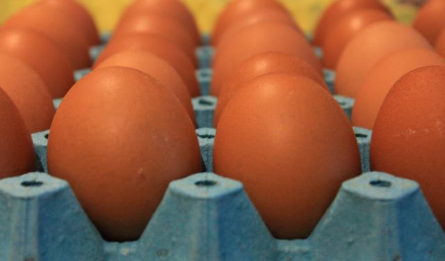 Kabuğun İçindeki Sağlık: Yumurta