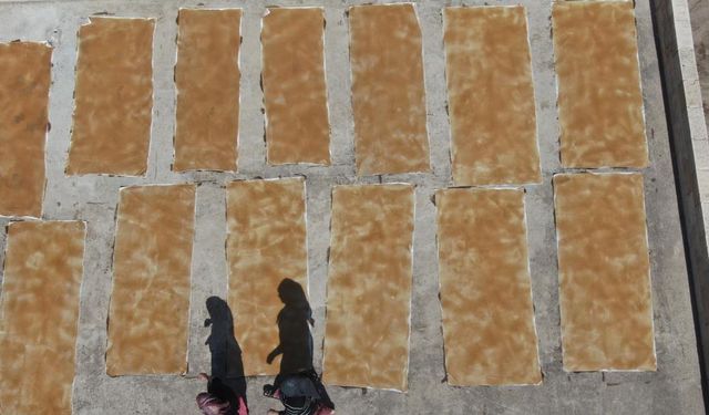 Üzümden Güneşe: Gaziantep Pestilinin Zahmetli Yolculuğu