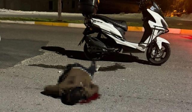 Sırtındaki Bıçakla Motosiklete Bindi, Hayatını Kaybetti