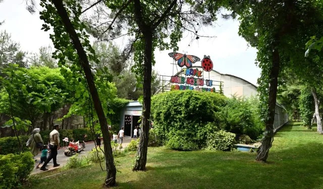 Gaziantep'in Doğa Harikası Ziyaretçi Rekoru Kırdı