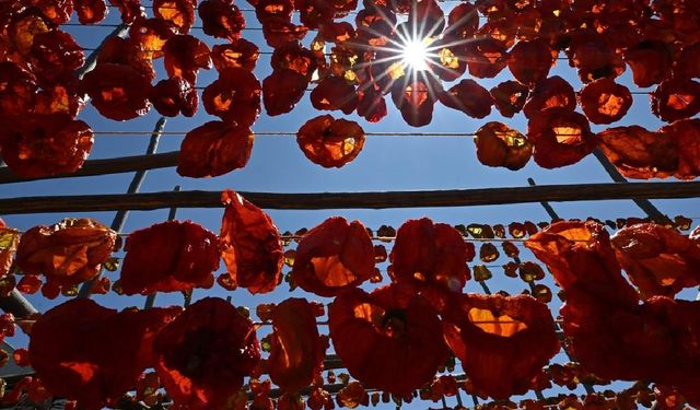 Kurutulmuş Antep Biberini Saklamanın Altın Kuralları