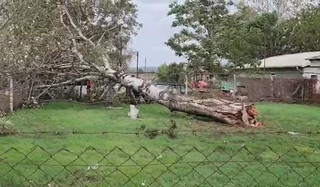 Şiddetli Rüzgar Hasara Yol Açtı