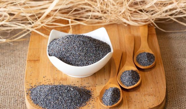 Haşhaşın Şifası ve Kullanım Alanları