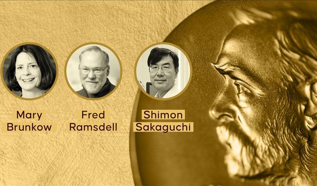 Nobel Tıp Ödülü Sahiplerini Buldu