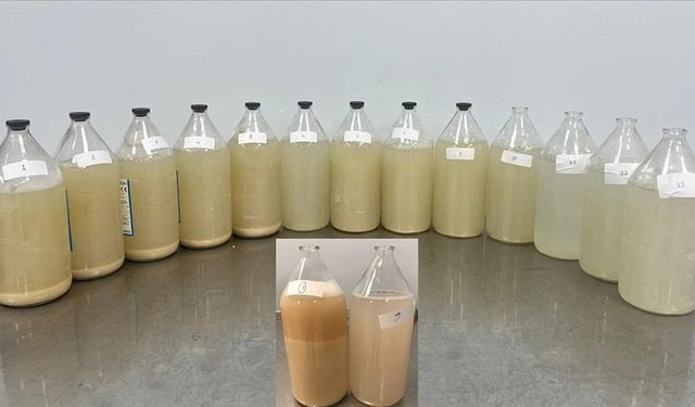 Akciğer Yıkama Yöntemiyle Hastalara Umut