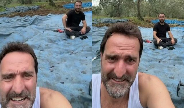 Köfte Necmi İlk Zeytin Hasadını Yaptı