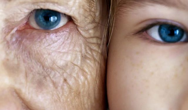 Uzun Ömrün Sırrı Açıklandı!