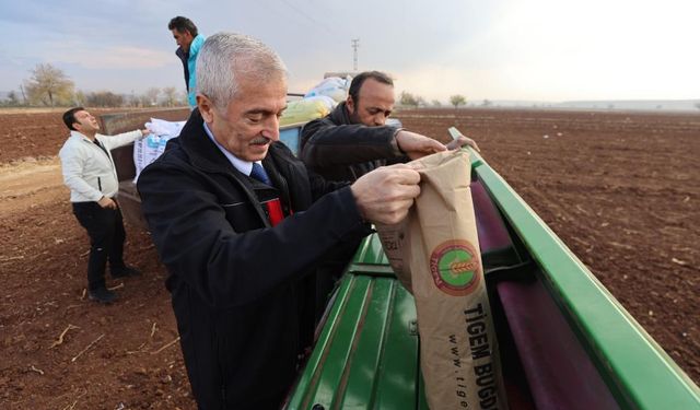 Başkan Tahmazoğlu, Çiftçilerle Tohum Ekti