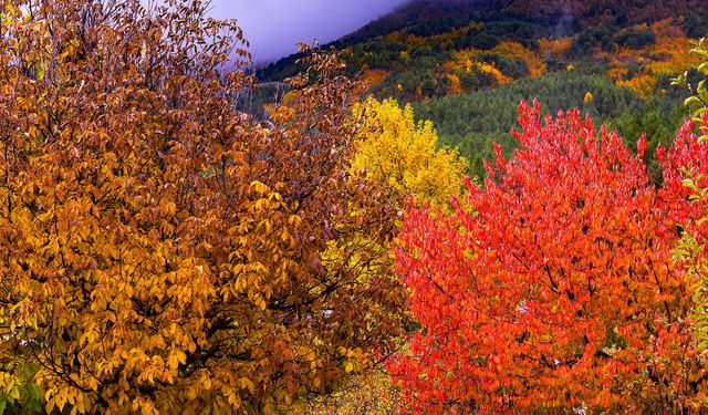 Gaziantep’in Zirvesinde Yeni Bir Vizyon