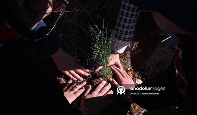 Gaziantep’te 120 Fidan Gazze İçin Dikildi