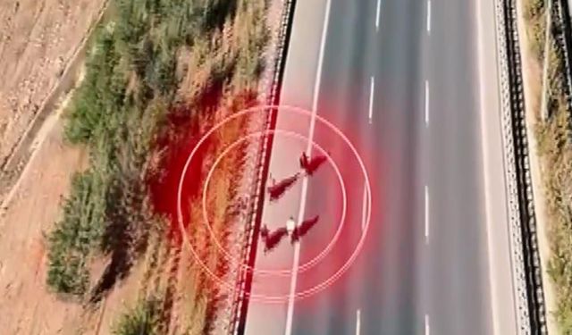 Gaziantep’te Kural Tanımaz Yarışa Polis Darbesi