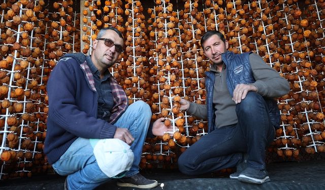 Ürgüp’ün Cennet Hurması Yurt Dışına Açıldı