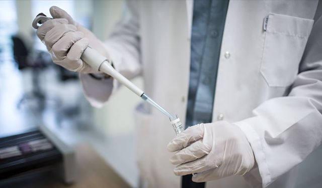 Kıkırdak Hasarına Kök Hücre Umudu