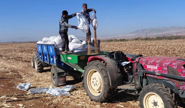 Kuraklık Ekimi Vurdu