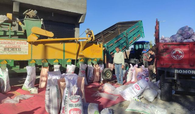 Makarnalık ve Baklavalık Buğday Sezonu Başladı