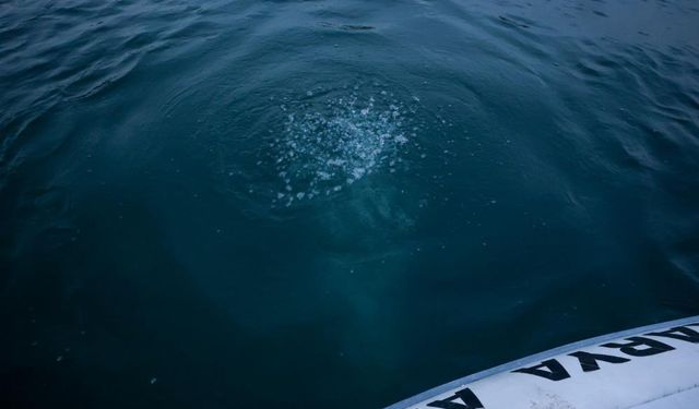 Sapanca Gölü’nde Kabaran Endişe: “Su Kaynıyor, Uyuyamıyoruz”