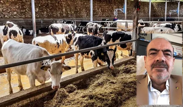 Gaziantep’te Üretici Çöküyor