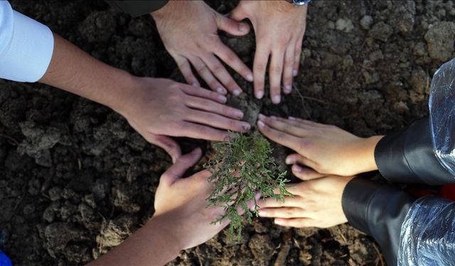 Yeşil Vatan İçin Çifte Rekor