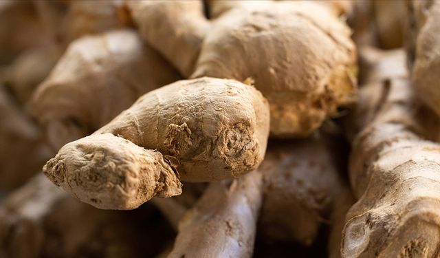 Doğanın Şifa İkilisi: Zencefil ve Zerdeçal