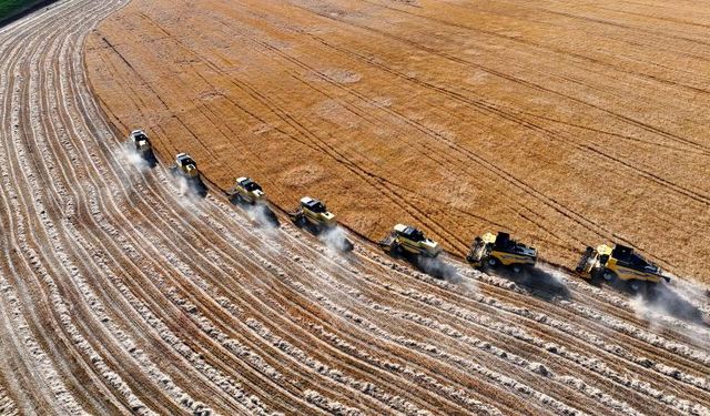 Kalkınma projeleri kırsalda iş kapısı oldu