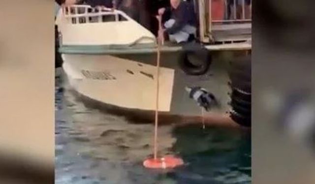 Üsküdar'da Yolcu Denize Düştü
