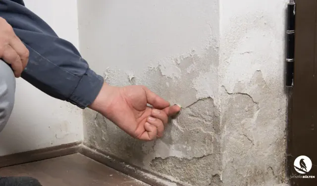 Yağlı Boya mı, Su Bazlı Boya mı?