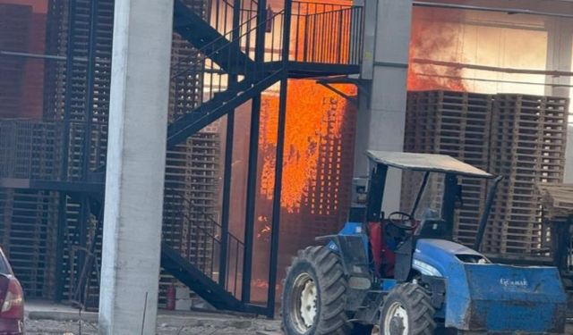 Palet Fabrikasında Yangın: Bir Yaralı