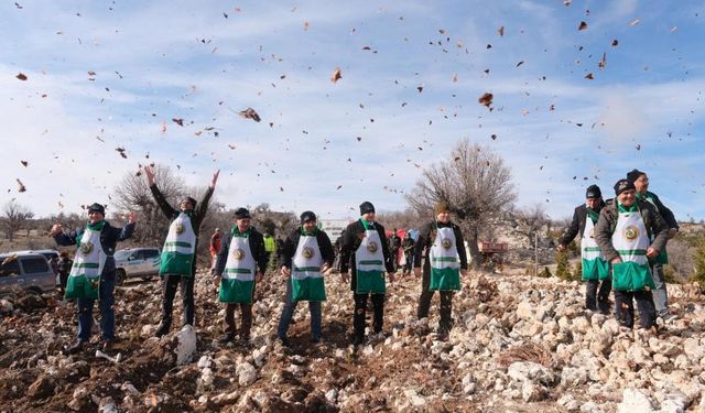Şehidin Adı Sedir Ormanında Yaşatıldı