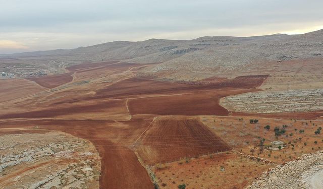 GAP ile Taşlık Araziler Üretime Kazandırılacak