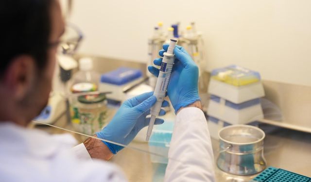 Yapay Zekâ Kıyı Altyapılarını Koruyacak