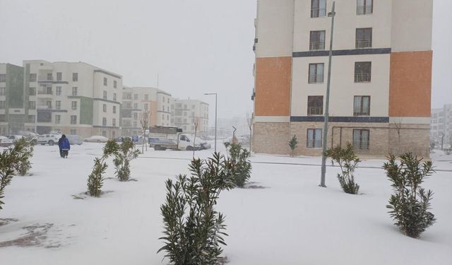 Çiftçinin Yüzü Güldü