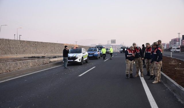 İki Aracın Arasında Can Verdi