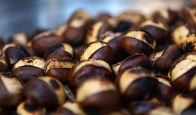 Kestane Tüketiminde Dikkat!