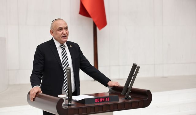 Meriç: Emeğin Değeri Eriyor