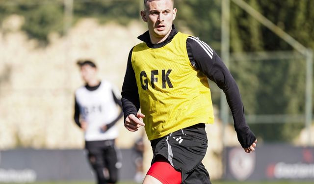 Polonyalı Yıldıza Devre Arası İlgisi