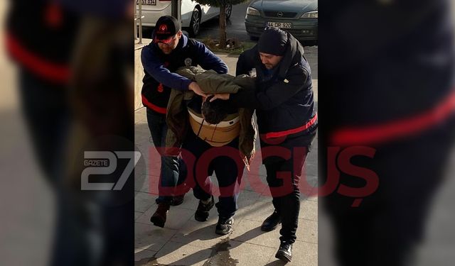 İtibar Suikasti Yapan Gazeteci Tutuklandı