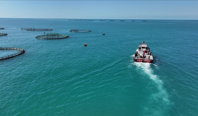 Kota Sistemiyle Balık Üretiminde Tarihi Zirve