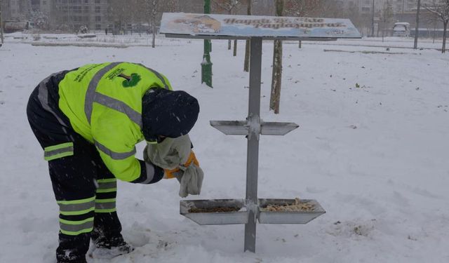 Şehitkamil’de Sokak Hayvanları Unutulmadı