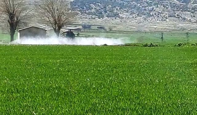 Gaziantep’te Hububatta Hastalık Önlemi