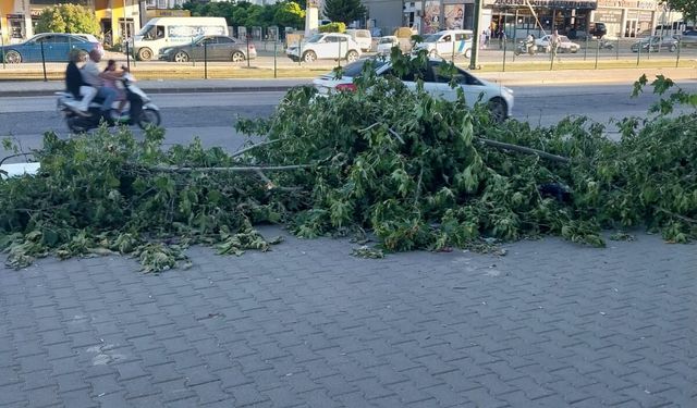 Gaziantep'te Çevre Kıymı İddiası